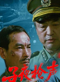 aa国产精品
